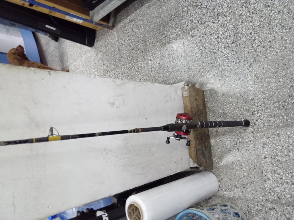 Caña De Pescar Marca No Tiene Modelo No Tiene Usado En Buen Estado Acc Liñada