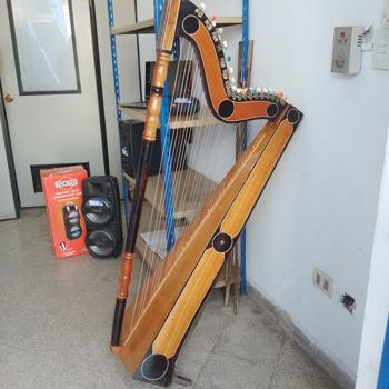 Arpa Marca No Tiene Modelo No Tiene Usado En Buen Estado Acc Con Estuche Rosa