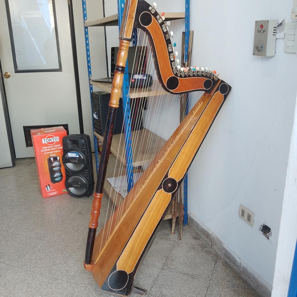 Arpa Marca No Tiene Modelo No Tiene Usado En Buen Estado Acc Con Estuche Rosa