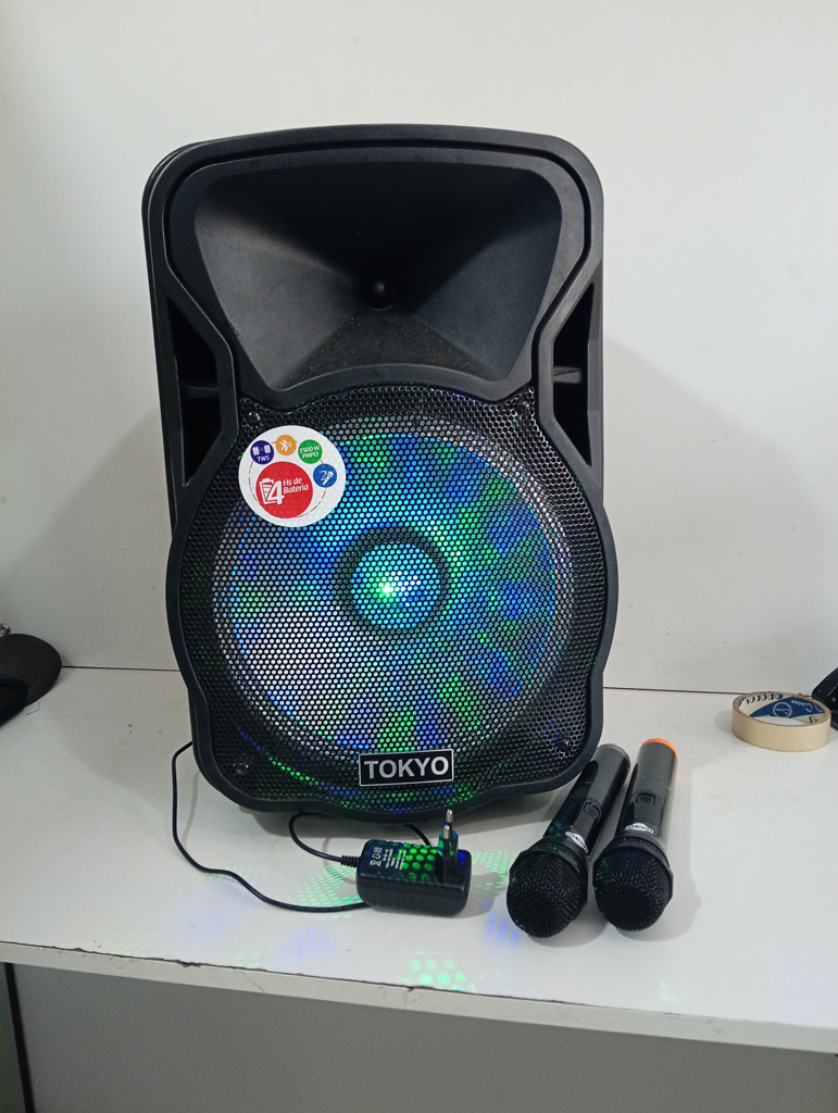 Caja De Sonido Amplificada Marca Tokyo Modelo Elpaerty12-N Sin Control Usado En Buen Estado Acc Dos Microfono