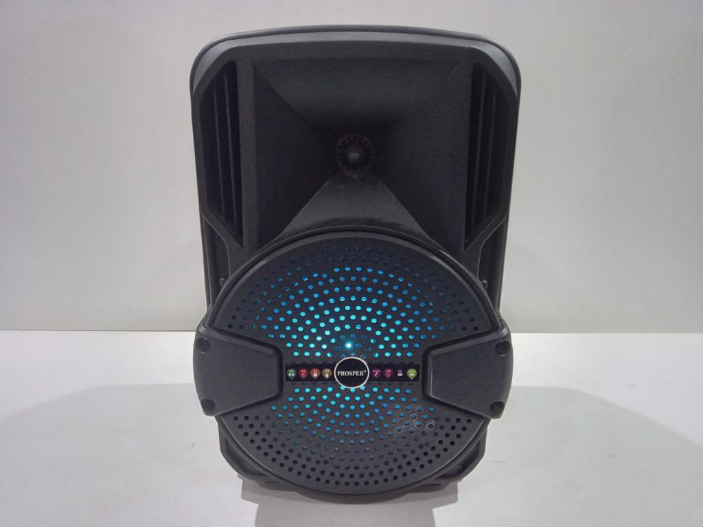 Caja De Sonido Amplificada Marca Prosper Modelo P-1086 Sin Control Usado En Buen Estado Acc CargadorManija