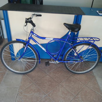 Bicicleta Marca Caloi Aro 29 Modelo Terraforte Usado En Buen Estado Acc Con Porta Bulto Linterna