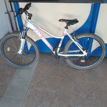 Bicicleta Con Amortiguador Marca Olmo Aro 18 Cant Cambios No Tiene Cuadro Aluminio 26 Modelo Safari Usado En Buen Estado Acc Con Patita