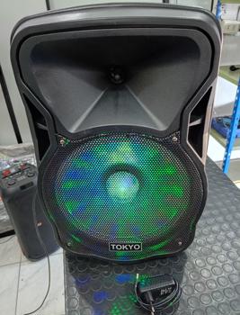 Caja De Sonido Amplificada Marca Tokyo Modelo Eltpparty12-N Sin Control Usado En Buen Estado Acc No Tiene
