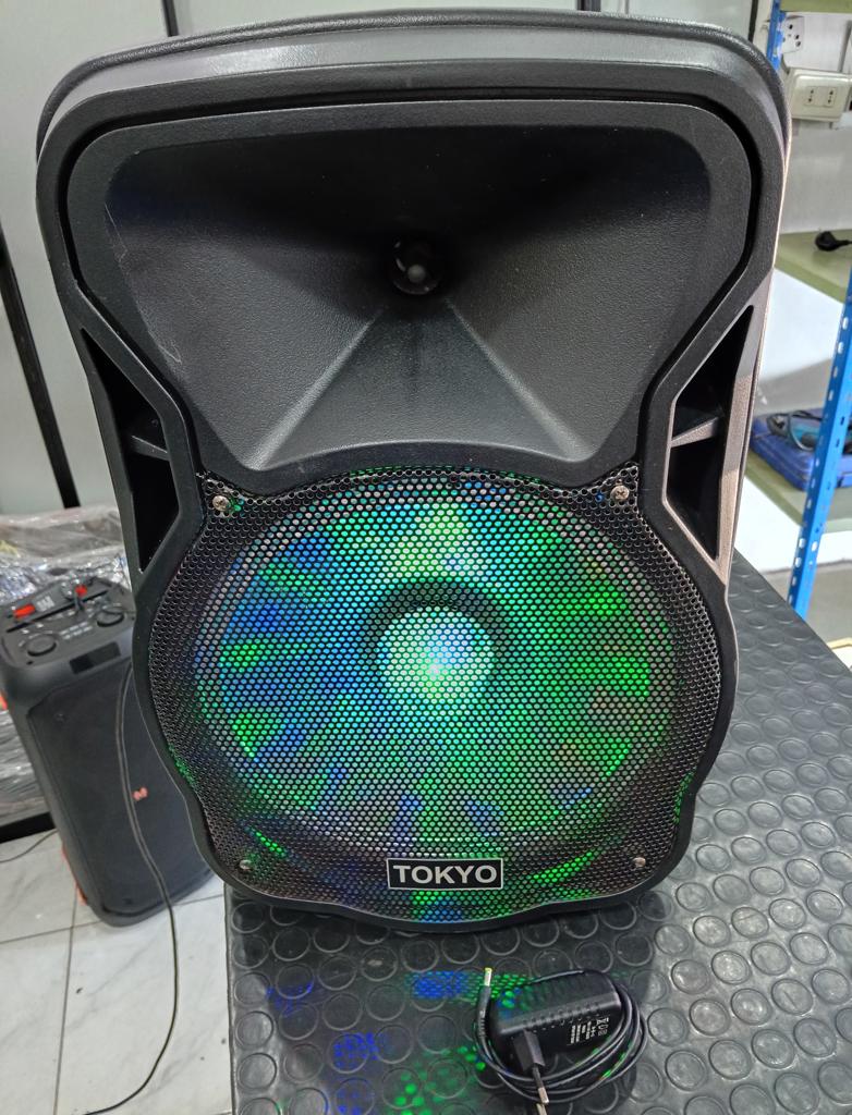 Caja De Sonido Amplificada Marca Tokyo Modelo Eltpparty12-N Sin Control Usado En Buen Estado Acc No Tiene
