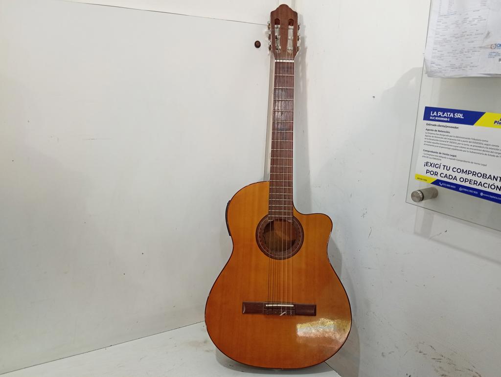 Guitarra Marca No Tiene Modelo Electroacustica Usado En Buen Estado Acc No Tiene