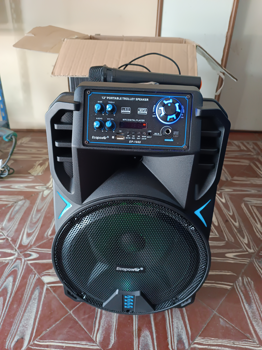 Caja De Sonido Amplificada Marca Ecopower Modelo Ep-1950 Con Control Usado En Buen Estado Acc Microfono Control Cargador
