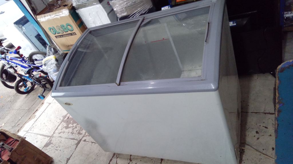 Congeladora / Frezzer Marca Fama Litros 208 Modelo Efh-250 Usado Con Desgaste Acc 2 Puertas De Vidrio