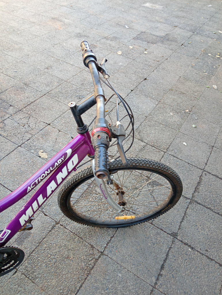 Foto 3 de Bicicleta Marca Milano Aro 24 Modelo Action Lady Usado Con Desgaste Acc Patita