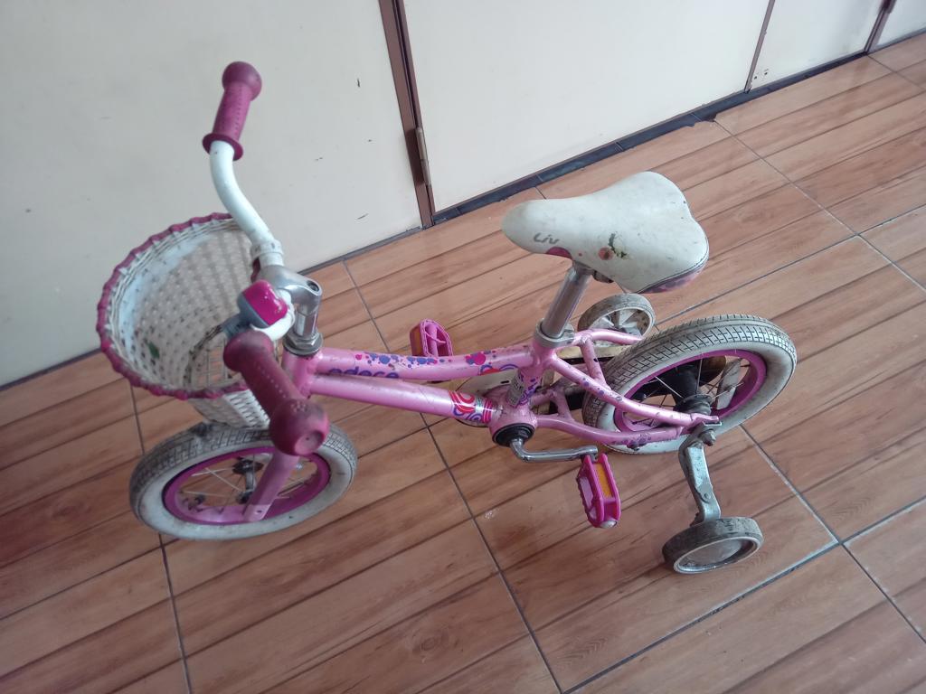Bicicleta Marca Live Aro No Tiene Modelo Odore Usado Con Desgaste Acc Con Dos RuedasCanastilla
