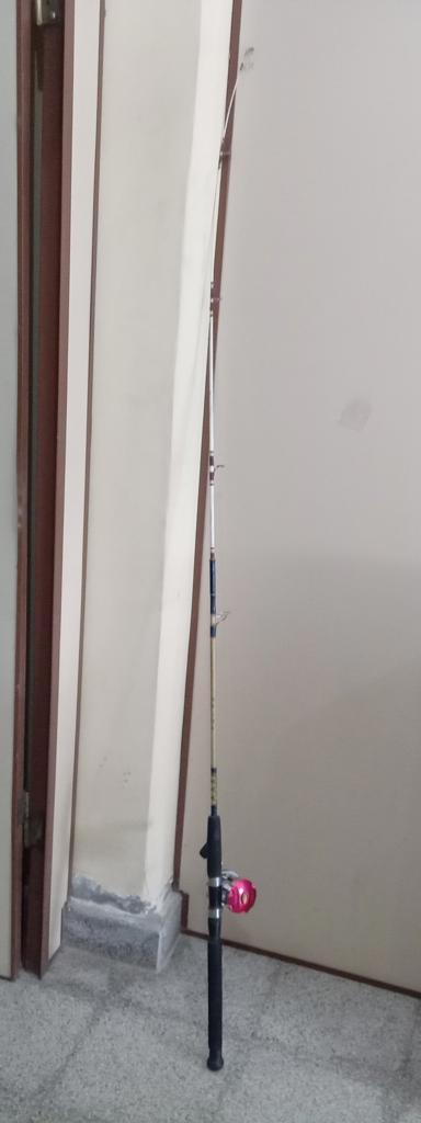 Caña De Pescar Marca No Tiene Modelo Sbc6000 Usado En Buen Estado Acc No Tiene