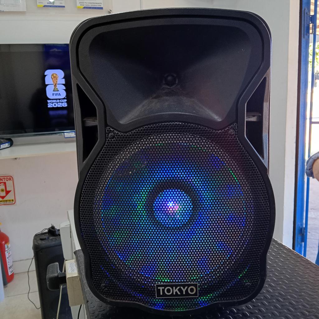 Caja De Sonido Amplificada Marca Tokyo Modelo Eltpparty12-N Sin Control Usado En Buen Estado Acc Cargador