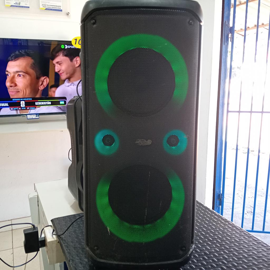 Caja De Sonido Amplificada Marca Ecopower Modelo Ep-2225 Sin Control Usado En Buen Estado Acc Cargador