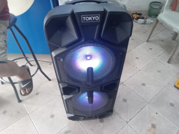 Caja De Sonido Amplificada Marca Tokyo Modelo Eltparty Sin Control Usado En Buen Estado Acc Microfono