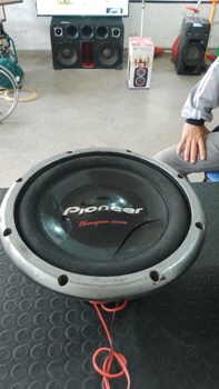 Parlante Para Discoteca Marca Pionner Modelo Ts-W308d4 Usado En Buen Estado Acc No Tiene