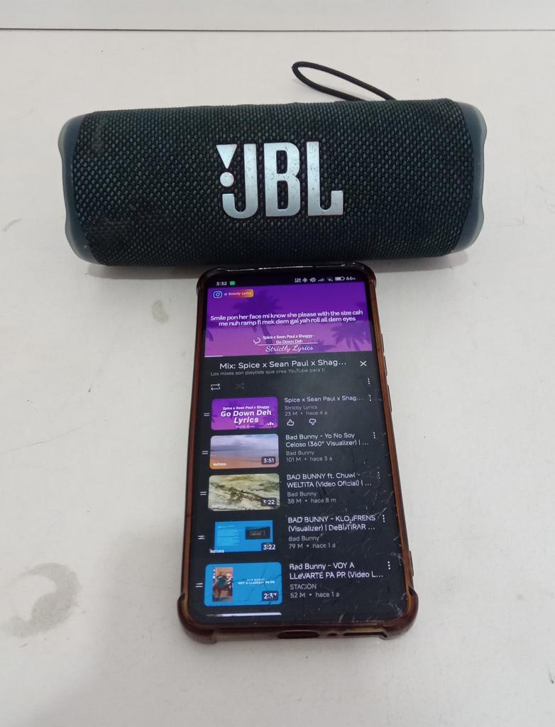 Parlante Portatil Marca Jbl Modelo Flip 6 Usado En Buen Estado Con Cinta Colgante Acc No Tiene