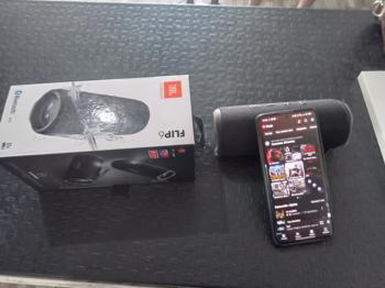 Speaker Potencia Watts No Tiene Marca Jbl Sin Control Modelo Flip 6 Usado En Buen Estado Con Caja Acc Cargador