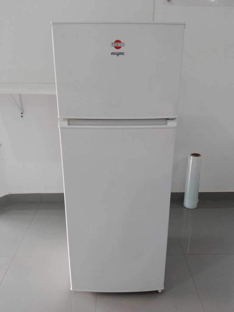 Heladera Marca Tokyo Modelo Hetokmmagna Usado En Buen Estado Litros 300 Acc No Tiene