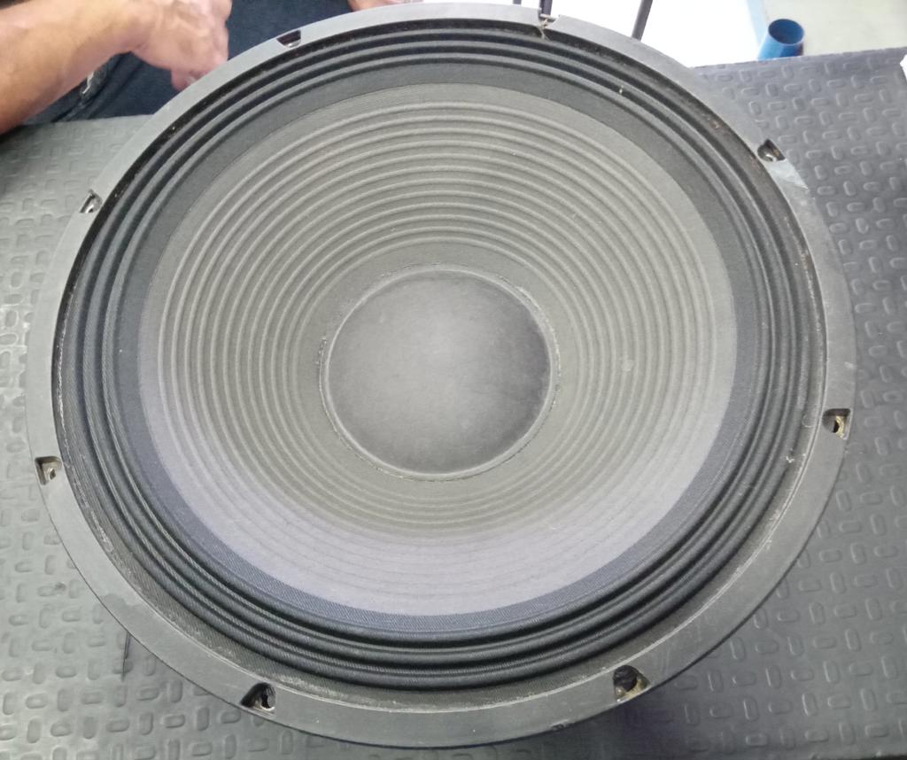 Parlante Para Discoteca Marca Eighteen Modelo 15w700 Usado En Buen Estado Acc De 700 Watts8ohmDe 15"