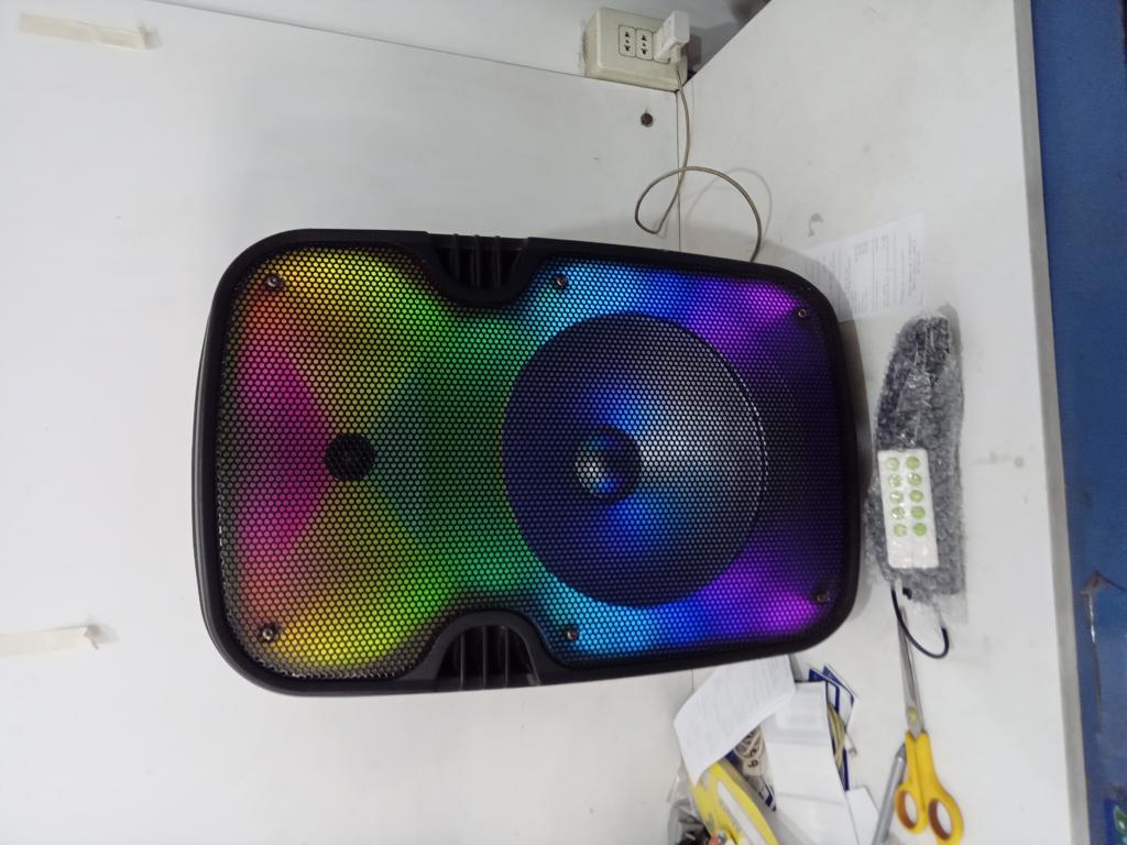 Speaker Potencia Watts 12 Marca Mega Star Con Control Modelo No Tiene Usado En Buen Estado Sin Caja Acc ControlCable PowerMicrofono