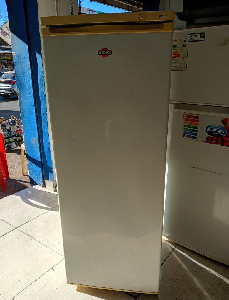 Congeladora / Frezzer Marca Tokyo Litros 200 Modelo Tok185 Usado En Buen Estado Acc Con Rastros De Oxido En La Parte De Abajo