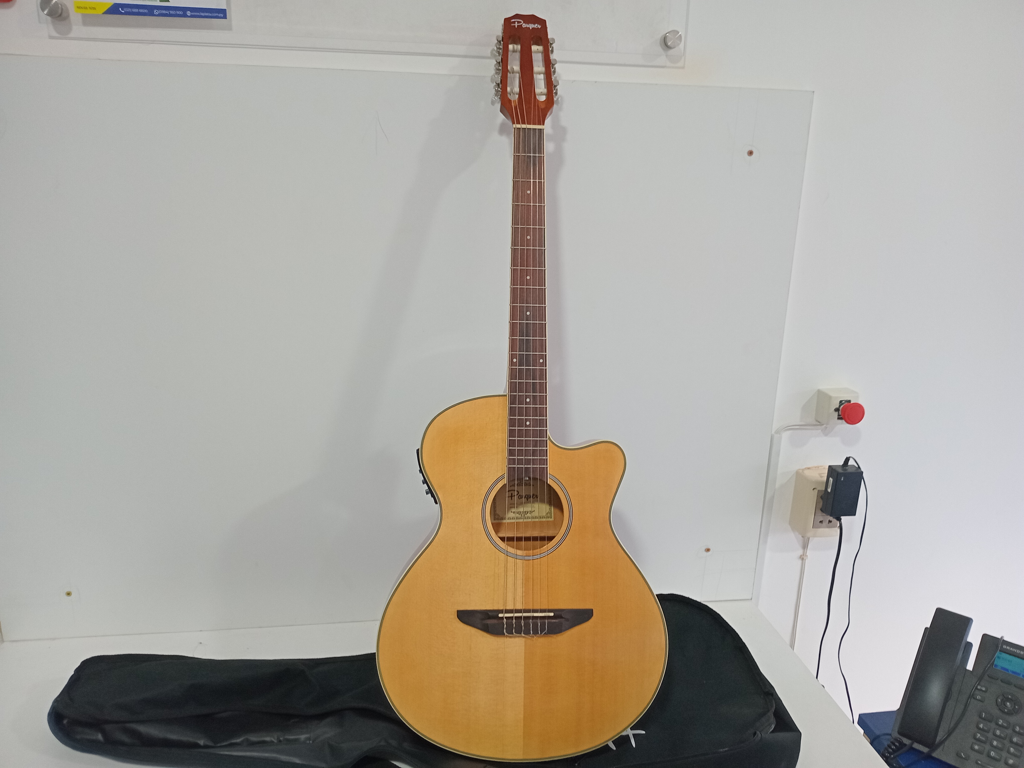 Guitarra Marca Parquer Modelo Gccmc100lbeq4 Usado En Buen Estado Acc No Tiene