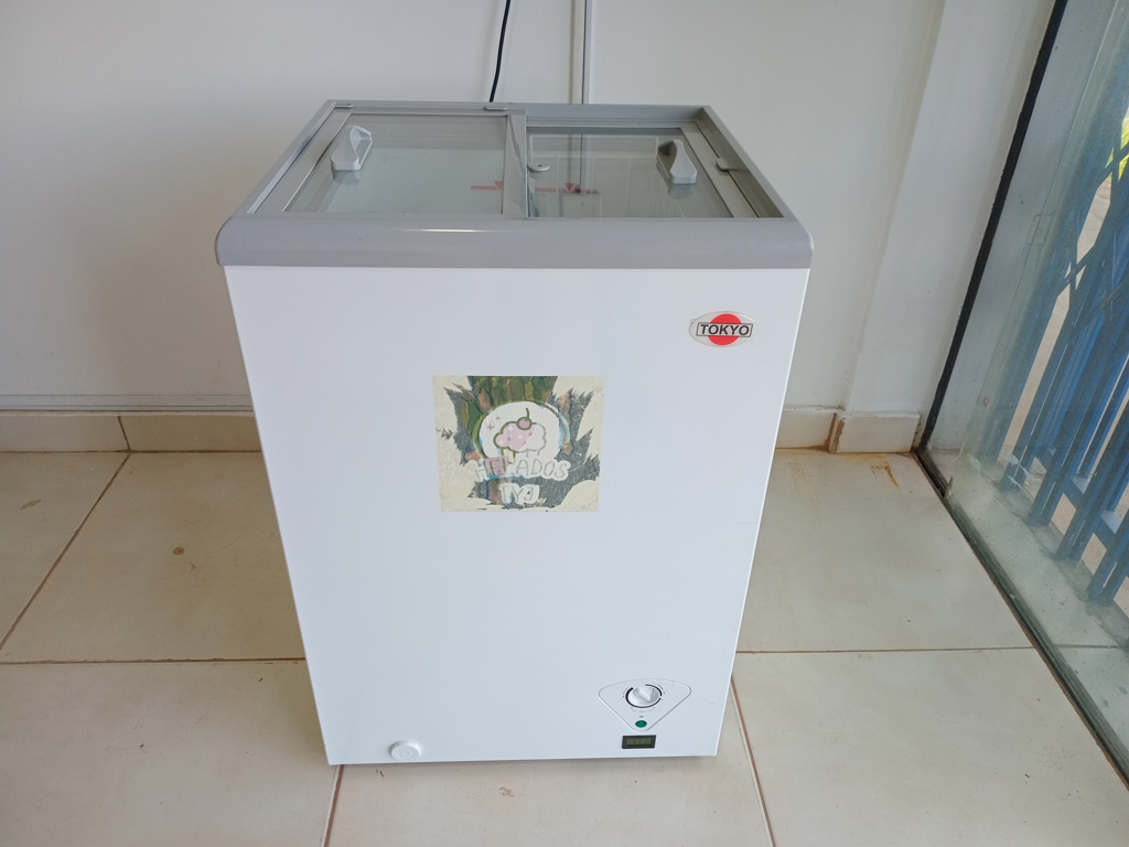 Congeladora / Frezzer Marca Tokyo Litros 84 Modelo Cgtconh130 Usado En Buen Estado Acc VerduleraLlave