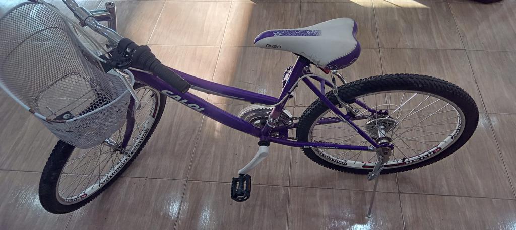 Bicicleta Marca Caloi Aro 24 Modelo California Usado En Buen Estado Acc Para Dama De 21 Cambios Aro 24 Con Canasta